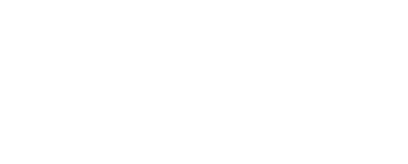 Enerplug